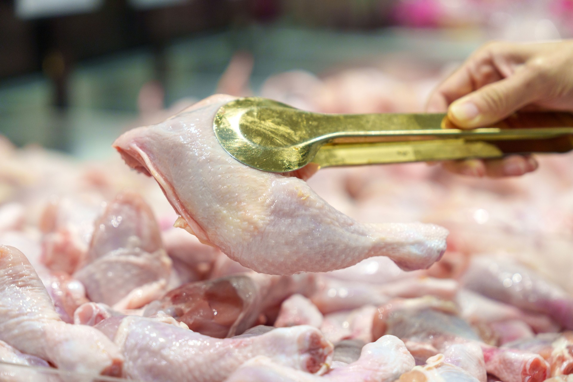 Fresh Chicken Selection at Local Market